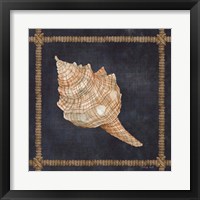 Framed 'Seashell on Navy IV' border=