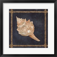 Framed 'Seashell on Navy IV' border=