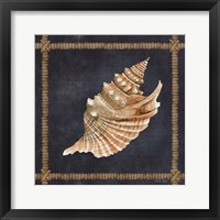 Framed 'Seashell on Navy V' border=