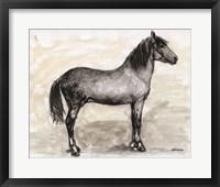 Horse Study 1 Framed Print