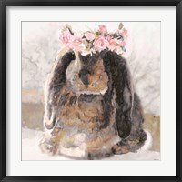 Bunny Olivia Framed Print