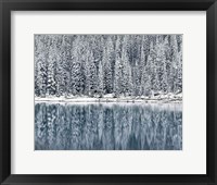 Framed Winter Reflections