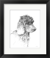 Framed 'Labradoodle Sketch' border=