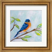 Framed 'Bluebird' border=