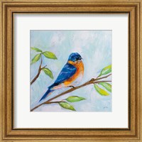 Framed 'Bluebird' border=