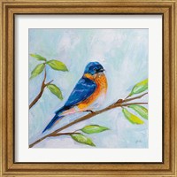 Framed 'Bluebird' border=