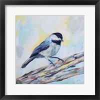 Chickadee Framed Print