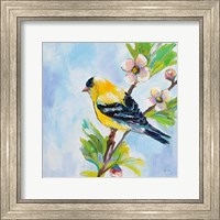 Framed 'Golden Finch' border=