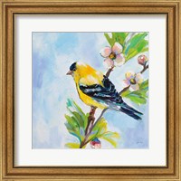 Framed 'Golden Finch' border=