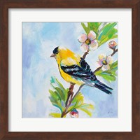 Framed 'Golden Finch' border=