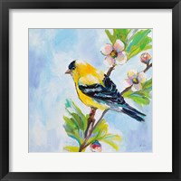 Framed Golden Finch