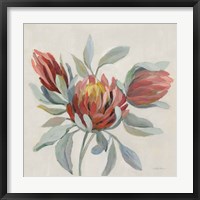 Field Bloom I Framed Print