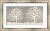 Framed Trees on Grey
