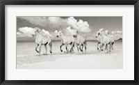 Framed Band of Brothers, Lanikai Beach, Hawaii (BW)