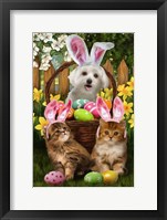 Framed Easter Bunnies in Training