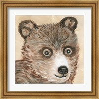 Framed 'Brody the Bear' border=