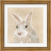 Framed 'Benny the Bunny' border=