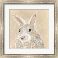 Framed 'Benny the Bunny' border=