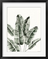 Framed Summer Botanicals 3