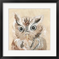 Framed 'Willow the Owl' border=