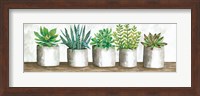 Framed Succulent Pots