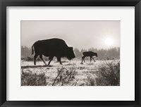 Framed Lamar Valley Migration