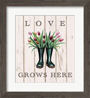 Framed Love Grows Here