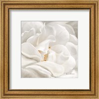 Framed 'Neutral Rose No. 1' border=