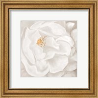 Framed 'Neutral Rose No. 2' border=