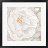 Framed Neutral Rose No. 2