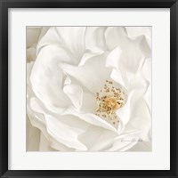 Neutral Rose No. 3 Framed Print