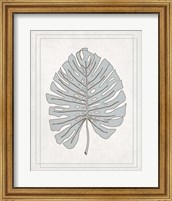 Framed 'Tropical Monstera III' border=