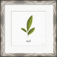 Framed 'Herbs VII White' border=