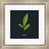 Framed 'Herbs VII Black' border=