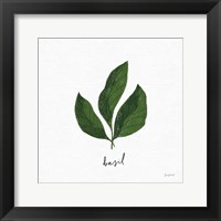 Framed Herbs VI White