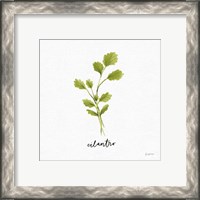 Framed 'Herbs IV White' border=