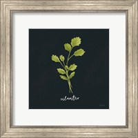 Framed 'Herbs IV Black' border=