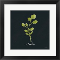 Framed Herbs IV Black