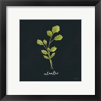 Framed 'Herbs IV Black' border=