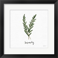 Framed Herbs III White