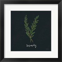 Framed Herbs III Black