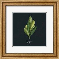 Framed 'Herbs II Black' border=