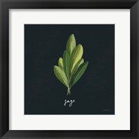 Framed Herbs II Black