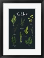 Framed Herbs I Black