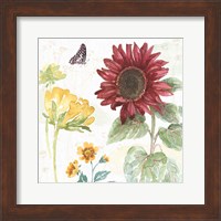 Framed 'Sunflower Splendor VI' border=