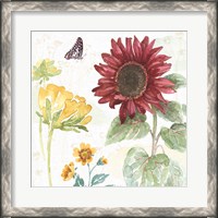 Framed 'Sunflower Splendor VI' border=