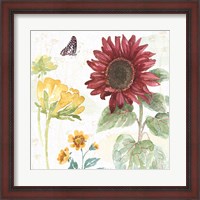 Framed 'Sunflower Splendor VI' border=