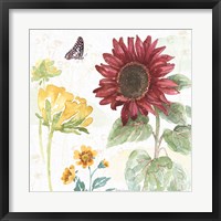 Framed 'Sunflower Splendor VI' border=