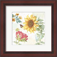 Framed 'Sunflower Splendor VIII' border=