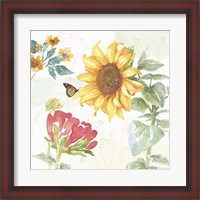 Framed 'Sunflower Splendor VIII' border=